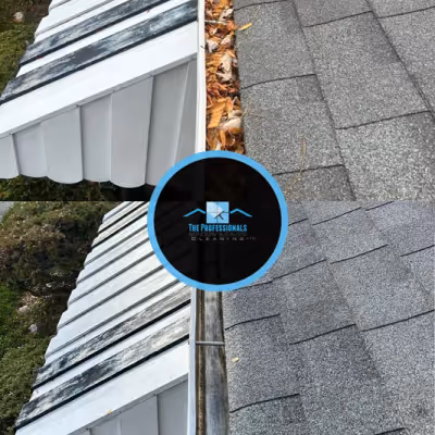 Window cleaning project 10