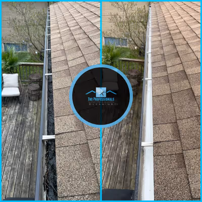 Eavestrough cleaning project 2