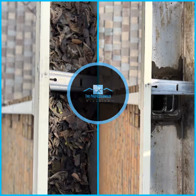 Eavestrough cleaning project 5