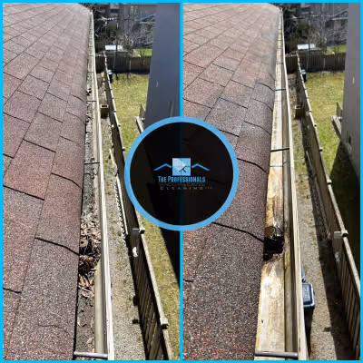 Window cleaning project 6