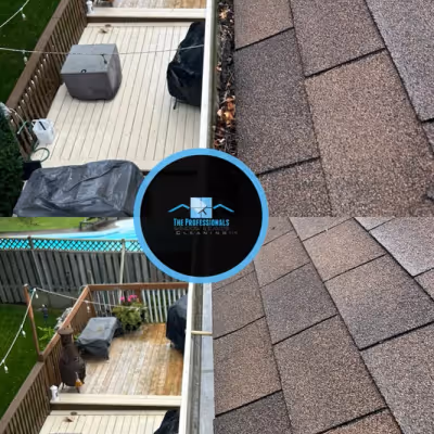 Window cleaning project 8