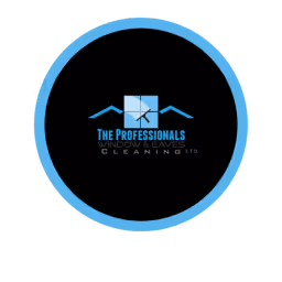 The Professionals company logo