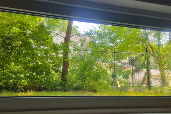 After Window Cleaning