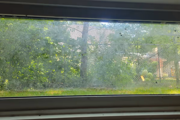 Before Window Cleaning